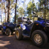 Quads in the Corona Forest in Tenerife