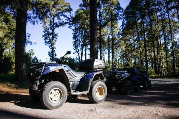 Quad in the Corona Forest in Tenerife