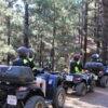 Group of Quads in the Corona Forest in Tenerife