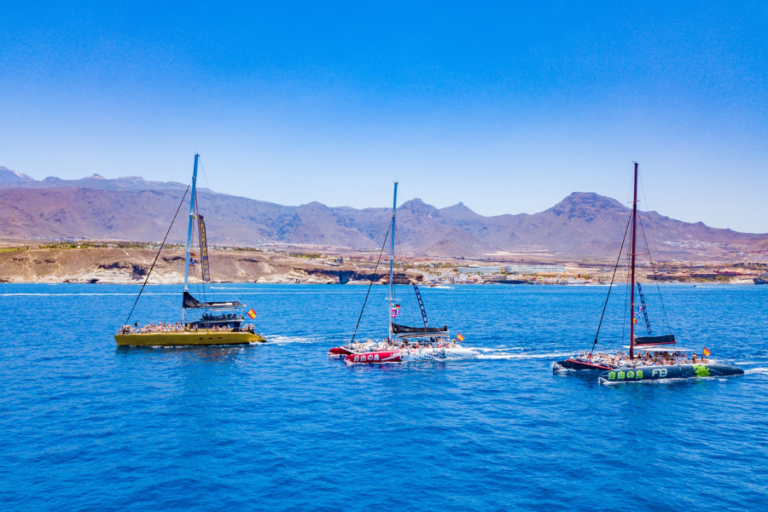 catamaran los gigantes tenerife