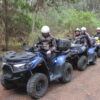 many people on a quad in the Teide Forest