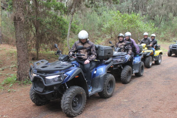many people on a quad in the Teide Forest