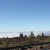 Teide above the clouds