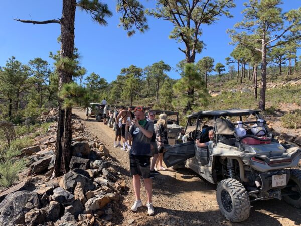 Group of buggies with people on Teide