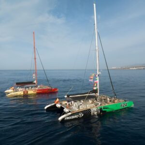 3h Whale Watching Catamaran in Costa Adeje