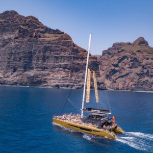 Catamaran 4.5hrs Excursion Whale and Dolphin Tour to Los Gigantes