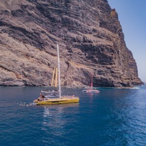 Catamaran 4.5hrs Excursion Whale and Dolphin Tour to Los Gigantes