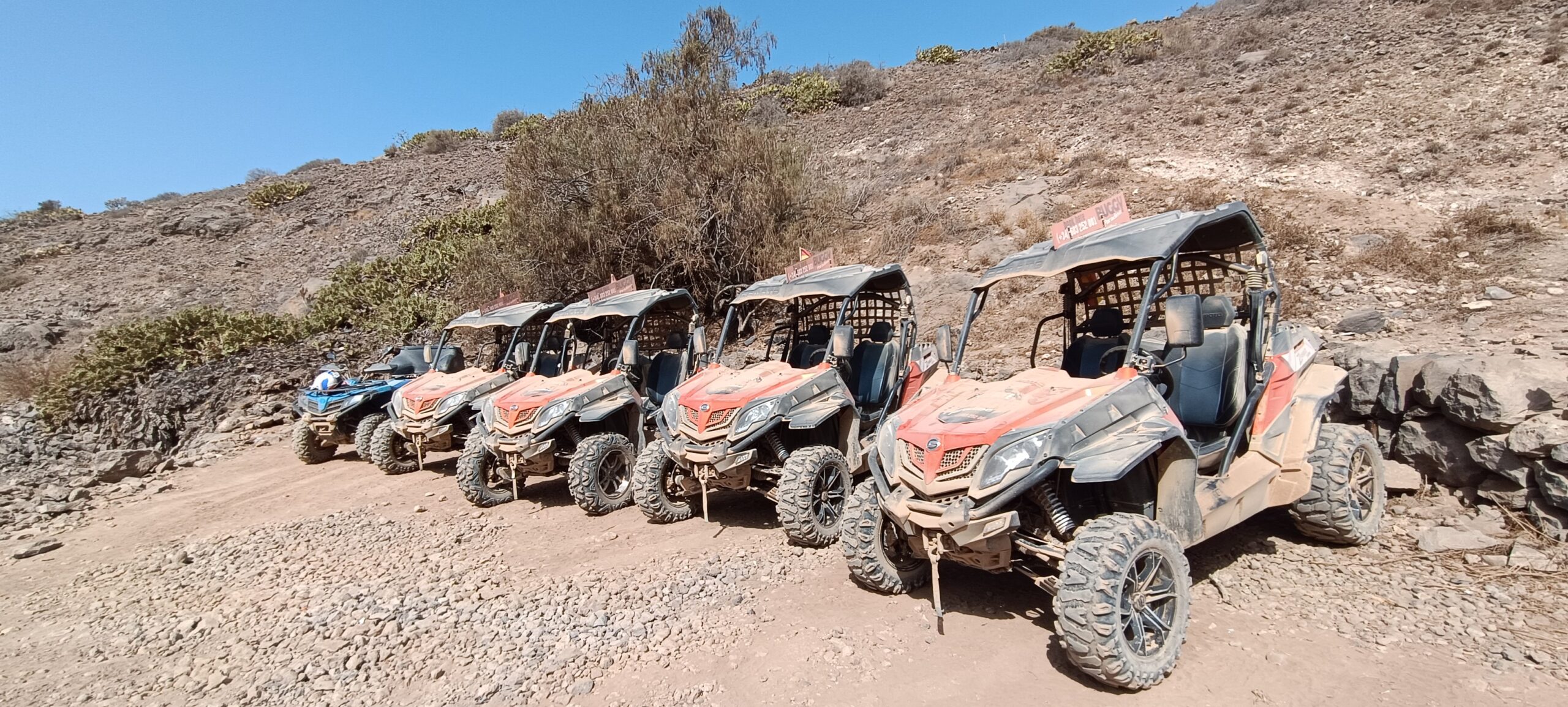3 buggys in Tenerife