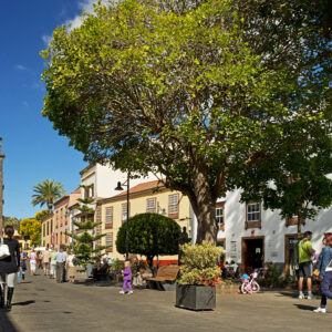 Santa Cruz, La Laguna & Anaga