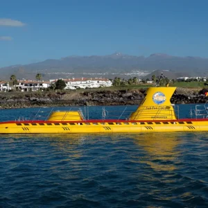 Submarine Safari