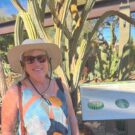 stationarytraveller Avatar